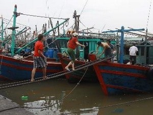 Việt Nam đưa Công ước Lao động hàng hải vào cuộc sống  - ảnh 1